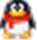 路兔兔了